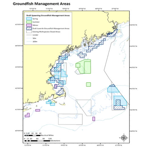 Groundfish Management Areas